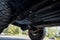 2022 Jeep Wrangler Unlimited Rubicon 392 Xtreme Recon