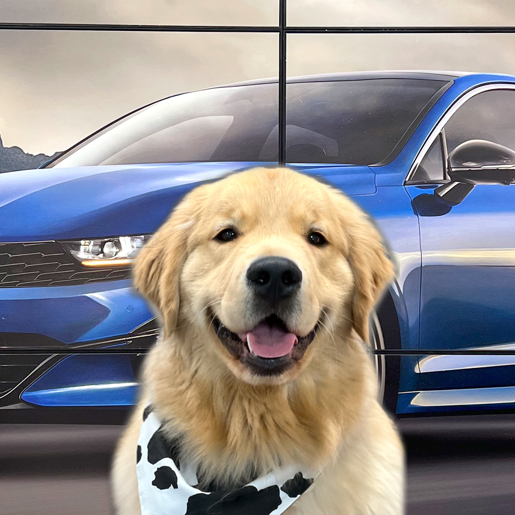 Sally Walker Steinberg